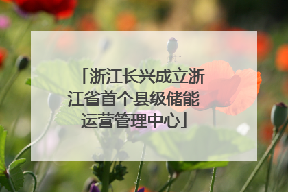 浙江长兴成立浙江省首个县级储能运营管理中心