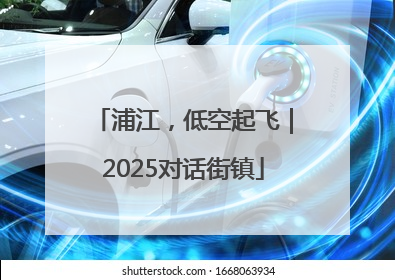 浦江，低空起飞｜2025对话街镇