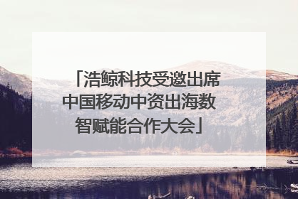 浩鲸科技受邀出席中国移动中资出海数智赋能合作大会