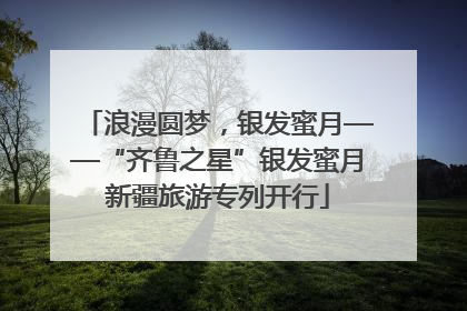 浪漫圆梦，银发蜜月——“齐鲁之星”银发蜜月新疆旅游专列开行