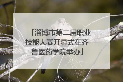淄博市第二届职业技能大赛开幕式在齐鲁医药学院举办