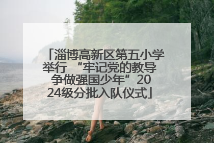 淄博高新区第五小学举行 “牢记党的教导 争做强国少年”2024级分批入队仪式