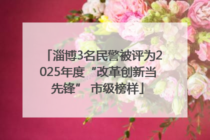 淄博3名民警被评为2025年度“改革创新当先锋” 市级榜样