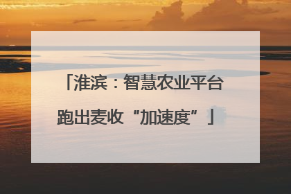 淮滨：智慧农业平台跑出麦收“加速度”