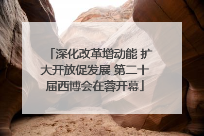 深化改革增动能 扩大开放促发展 第二十届西博会在蓉开幕