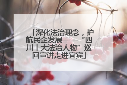 深化法治理念，护航民企发展——“四川十大法治人物”巡回宣讲走进宜宾