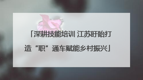 深耕技能培训 江苏盱眙打造“职”通车赋能乡村振兴