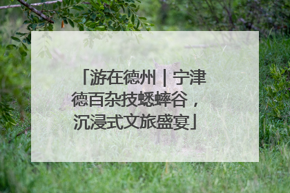 游在德州｜宁津德百杂技蟋蟀谷，沉浸式文旅盛宴