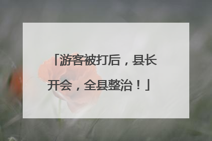 游客被打后，县长开会，全县整治！