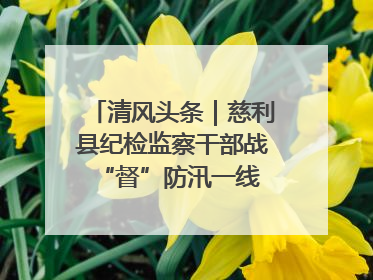 清风头条｜慈利县纪检监察干部战“督”防汛一线 守护群众利益