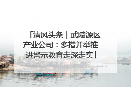 清风头条｜武陵源区产业公司：多措并举推进警示教育走深走实