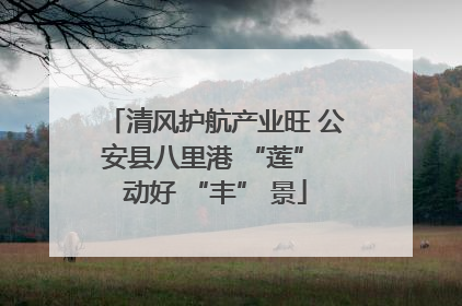 清风护航产业旺 公安县八里港 “莲” 动好 “丰” 景