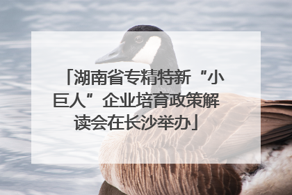 湖南省专精特新“小巨人”企业培育政策解读会在长沙举办