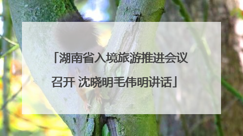 湖南省入境旅游推进会议召开 沈晓明毛伟明讲话