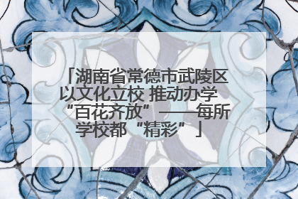 湖南省常德市武陵区以文化立校 推动办学“百花齐放”——每所学校都“精彩”