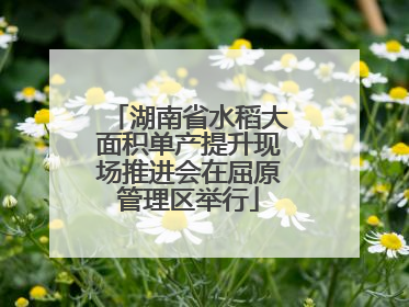 湖南省水稻大面积单产提升现场推进会在屈原管理区举行