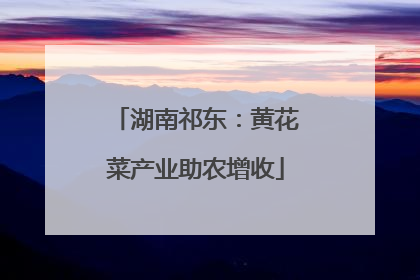 湖南祁东：黄花菜产业助农增收