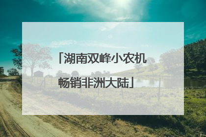 湖南双峰小农机畅销非洲大陆
