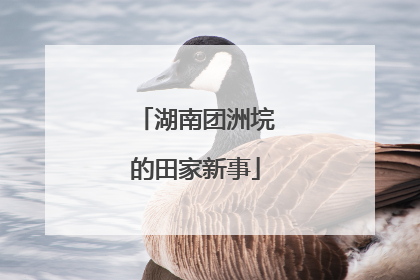 湖南团洲垸的田家新事