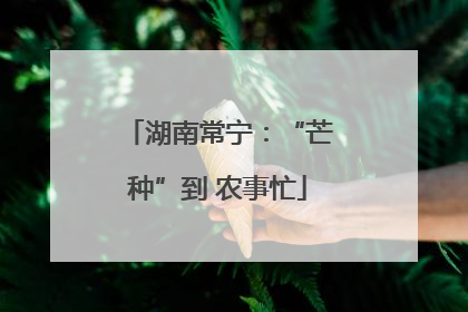 湖南常宁：“芒种”到 农事忙