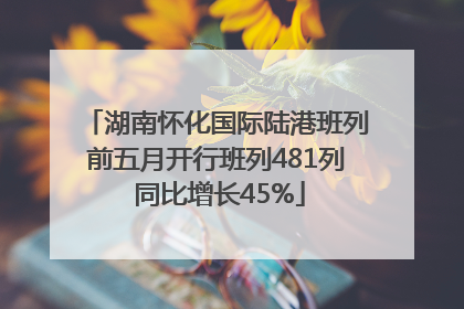 湖南怀化国际陆港班列前五月开行班列481列 同比增长45%