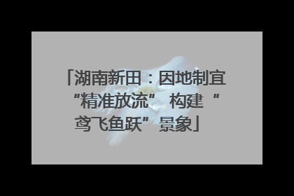 湖南新田：因地制宜“精准放流” 构建“鸢飞鱼跃”景象