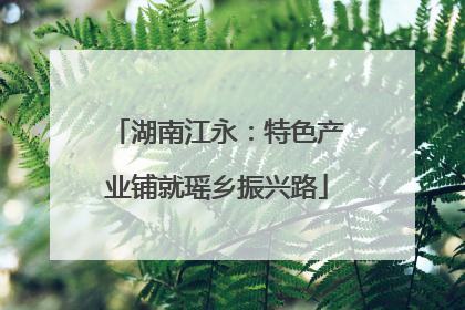湖南江永：特色产业铺就瑶乡振兴路