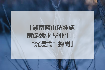 湖南蓝山精准施策促就业 毕业生“沉浸式”探岗