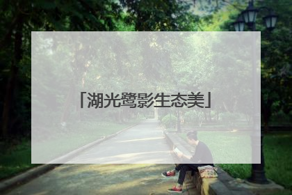 湖光鹭影生态美