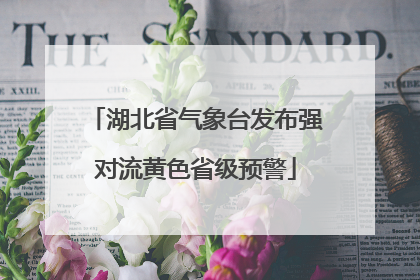 湖北省气象台发布强对流黄色省级预警