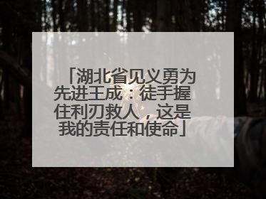 湖北省见义勇为先进王成：徒手握住利刃救人，这是我的责任和使命