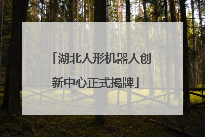 湖北人形机器人创新中心正式揭牌