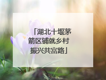 湖北十堰茅箭区铺就乡村振兴共富路