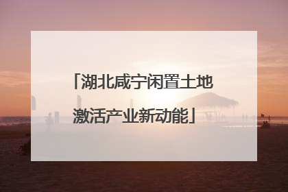 湖北咸宁闲置土地激活产业新动能