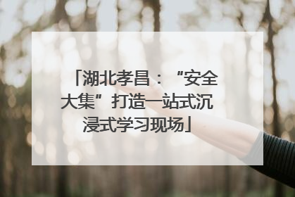 湖北孝昌：“安全大集”打造一站式沉浸式学习现场
