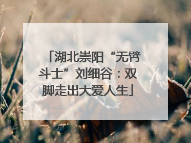 湖北崇阳“无臂斗士”刘细谷：双脚走出大爱人生