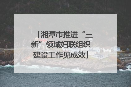 湘潭市推进“三新”领域妇联组织建设工作见成效
