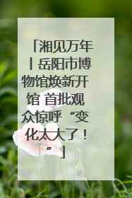 湘见万年丨岳阳市博物馆焕新开馆 首批观众惊呼“变化太大了！”