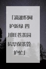 滴灌织网护新绿 四川旺苍茶园抗旱保茶管护忙