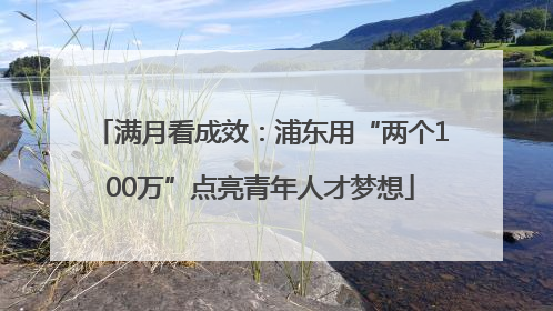 满月看成效：浦东用“两个100万”点亮青年人才梦想