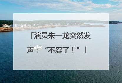 演员朱一龙突然发声：“不忍了！”