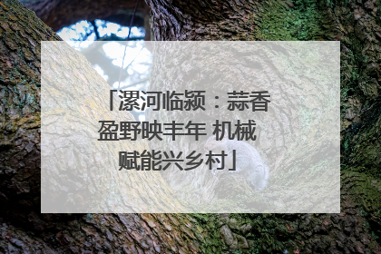 漯河临颍：蒜香盈野映丰年 机械赋能兴乡村