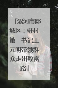 漯河市郾城区：驻村第一书记王元明带领群众走出致富路