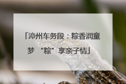 漳州车务段：粽香润童梦 “粽”享亲子情