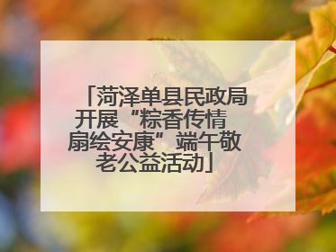 菏泽单县民政局开展“粽香传情 扇绘安康”端午敬老公益活动