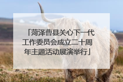 菏泽曹县关心下一代工作委员会成立二十周年主题活动展演举行