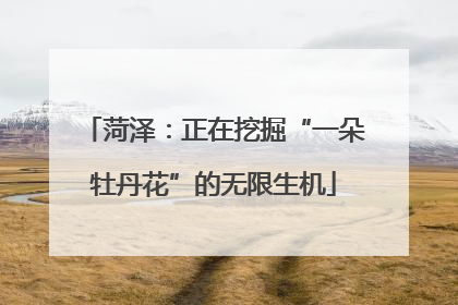 菏泽：正在挖掘“一朵牡丹花”的无限生机