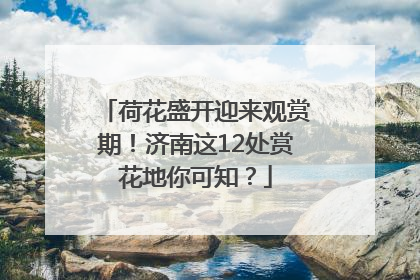 荷花盛开迎来观赏期！济南这12处赏花地你可知？