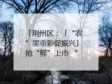 荆州区：「“农”墨重彩促振兴」抢“鲜”上市 “采摘经济”助农“甜蜜增收”