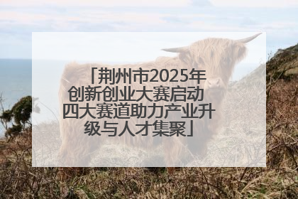 荆州市2025年创新创业大赛启动 四大赛道助力产业升级与人才集聚